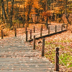 قلب- آیدا خلیلی