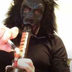 соль спайсы миксы