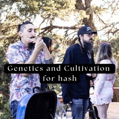 EP 2 Genetics and Cultivation for hash