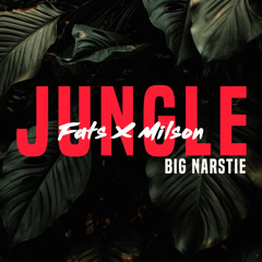 Fats & Milson x Big narstie - Jungle