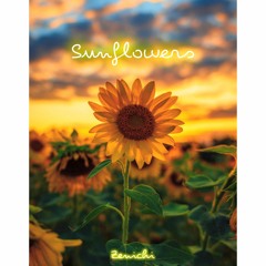 Zenichi - Sunflowers (Original Audio)