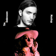 Pink Pony Club x Heroes - Chappell Roan x Alesso (Tim Underscore Mashup)