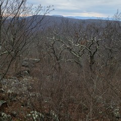 Emptying Out That Box