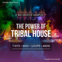 BIG GROOVE SAMPLES - THE POWER OF TRIBAL (PACK 7 KITS)