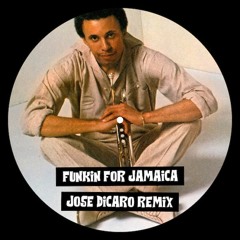 Funkin For Jamaica (Jose Dicaro Remix)