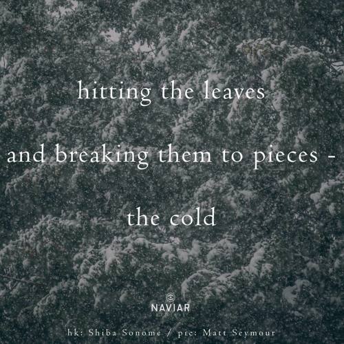 Broken Leaves (naviarhaiku383)