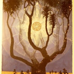 Toviyah - 'Motorised"