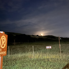 Lit Feat. Raphelle Andrews, Defly