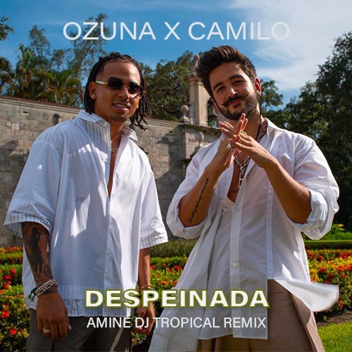 Stream Ozuna x Camilo - Despeinada (Amine DJ Tropical Remix) by Aᴍɪɴᴇ DJ  🇲🇦🇮🇹 | Listen online for free on SoundCloud