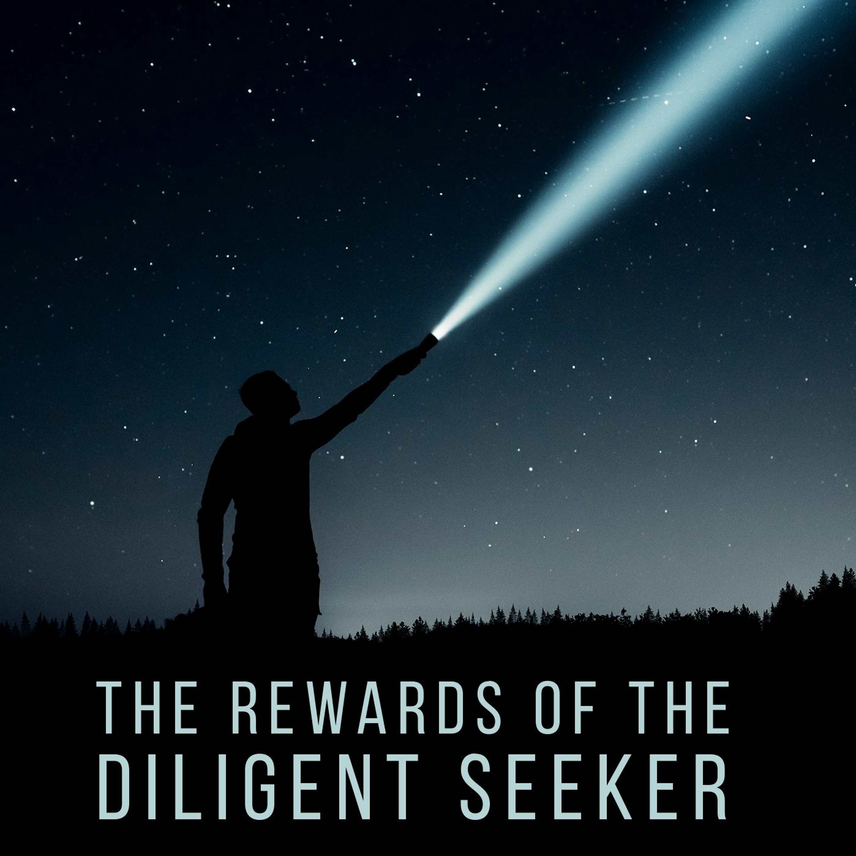 The Rewards of the Diligent Seeker episode artwork