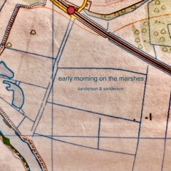 early morning on the marshes