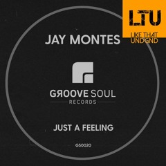 Premiere: Jay Montes - Just A Feeling (Original Mix) | Groove Soul Records