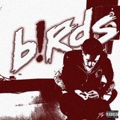b!rds [prod. ripferraz]