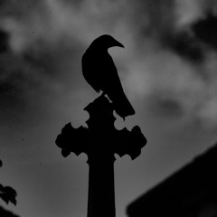 The Trial of The Ravens, 1902.