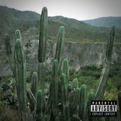 GiveMeLobotomy ;3 Feat. NaloxaneJesus (Prod. Santana & Rar3lotus)