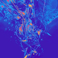 Felix Lee  ft. Ecco2k & Whitearmor - KOH ( ROT10 edit )