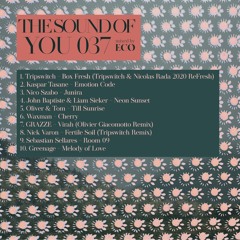 The Sound of You 037