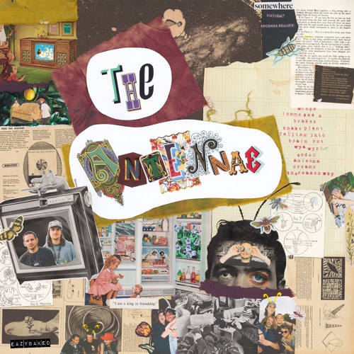 EAZYBAKED x Digital Ethos - CODED