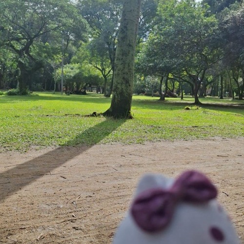 conversando com fadas