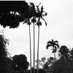 "LAP DANCE IN A CHEVY REMIX!"