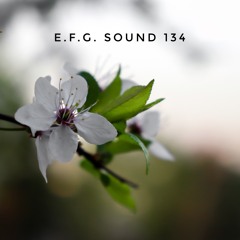 E.F.G. Sound 134