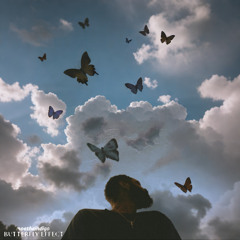 2. Butterfly Effect