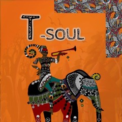 T soul- Crystal ( Original mix).mp3