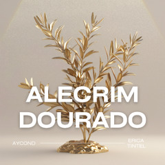 Aycond, Erica Tintel -  Alecrim Dourado (Extend) Brazilian Afro House