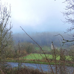 Lydbrook Birdsong Boxing Day 26/12/2024 11:29