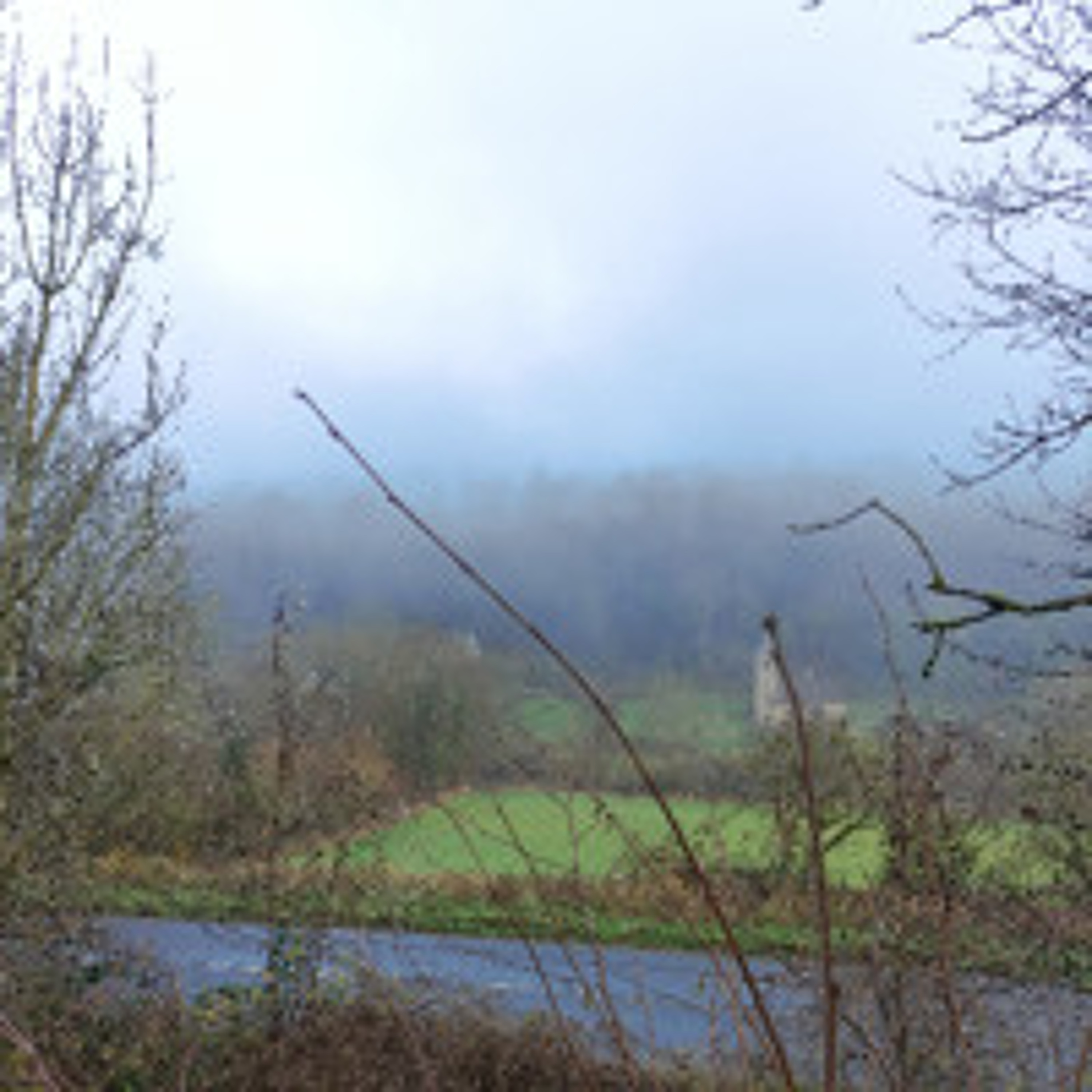 Lydbrook Birdsong Boxing Day 26/12/2024 11:29