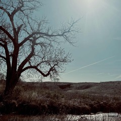 tune it out (feat. Poppa Bucks) [prod. 4most]