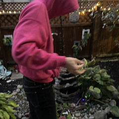 okyot - skunky (helios)