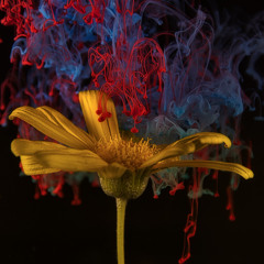 SΛVVIΛN - Sound is GOD #001