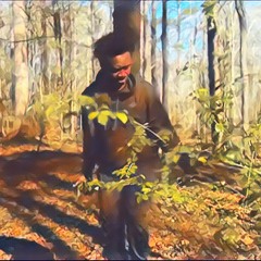 4nic - Lost Soul