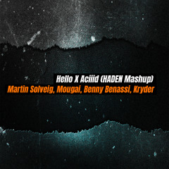 Martin Solveig, MOGUAI - Hello X Aciiid (HADEN Mashup) FREE DL IN DESCRIPTION