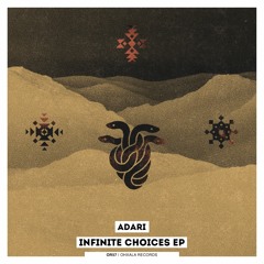 Adari - Infinite Choices (Original Mix)