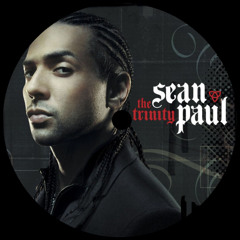 Temperature - Sean Paul (SPEED GARAGE REMIX) [FREE DL]