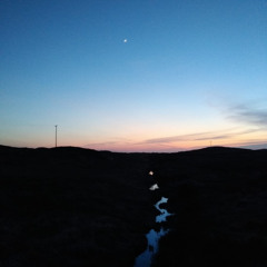 Jamuary 5th 2026 In Fading Light