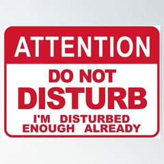 do not disturb ft. unnamed (p. scruff)