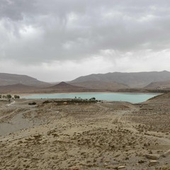 solar42 cinematic oasis