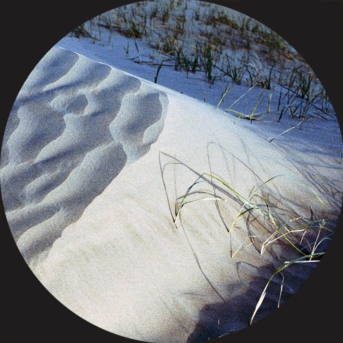 8circuit - Path To Ground (full stream)