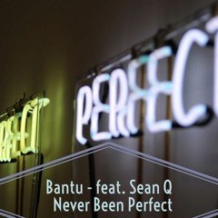 Never Been Perfect (feat. Sean Q)
