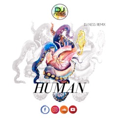 Human - Christina Perri (Cover) Dj Ness