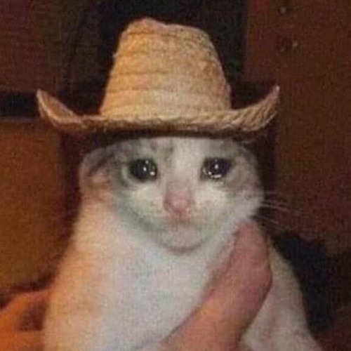 ELETROFUNK NÃO SEI OQUE EU FAÇO - DJ ALEXANDRE BORGES, DJ SÉRGIO BORGES E VNICINN DA VP