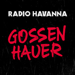 Punk & Rock [german] - part 2