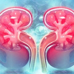 Chronic Kidney Disease Healing | Balance Body Electrolytes & Reduce Nausea & Regain Energy