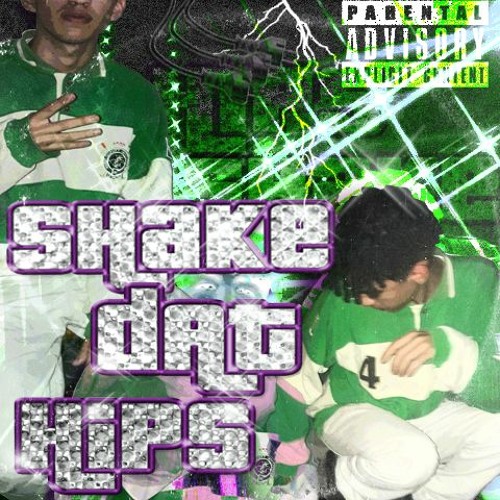 Shake Dat Hips (Mix. Enzo)