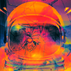 the indigo in-betweens