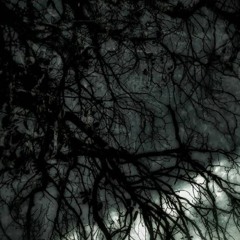 LA BRWJA- shaded summers
