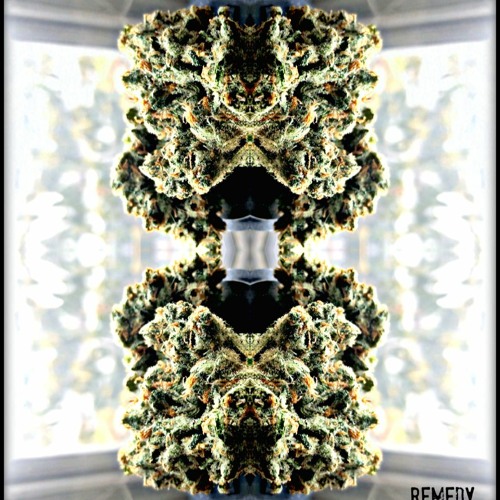 Treepeoh X BRZY - Remedy